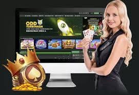 Live casino table games experience on phjoy app platform